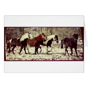 Caballos de invierno