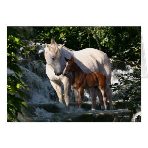 Caballos de la fantasía: Cascada