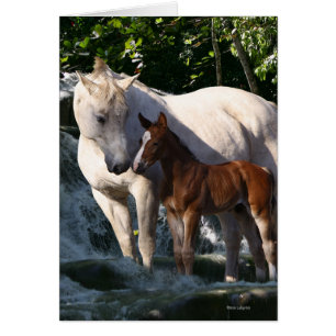 Caballos de la fantasía: Cascada