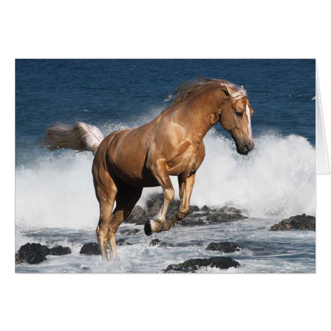 Caballos de la fantasía: Chapoteo del verano (Anverso (Horizontal))