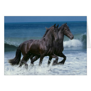 Caballos de la fantasía: Frisios y mar