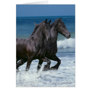 Caballos de la fantasía: Frisios y mar