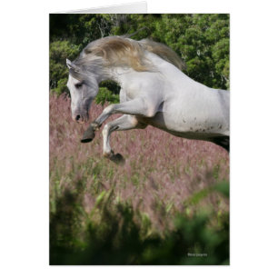 Caballos de la fantasía: Galope de la primavera
