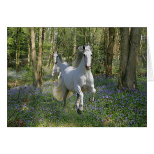 Caballos de la fantasía: Madera del Bluebell