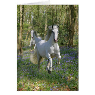 Caballos de la fantasía: Madera del Bluebell