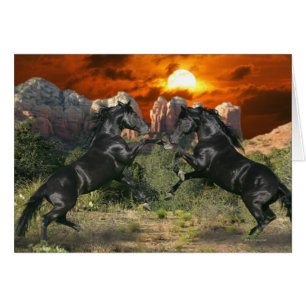 Caballos de la fantasía: Magia negra