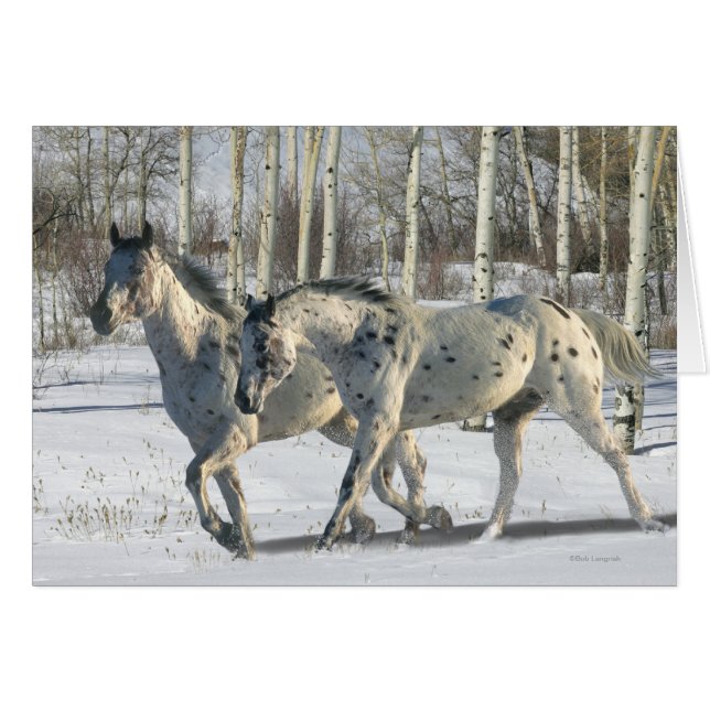 Caballos de la fantasía: País de las maravillas (Anverso (Horizontal))