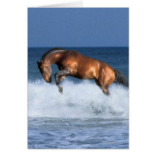 Caballos de la fantasía: Selle Francais y mar
