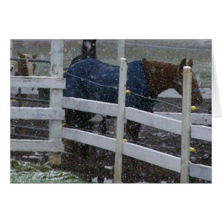 Caballos de nieve