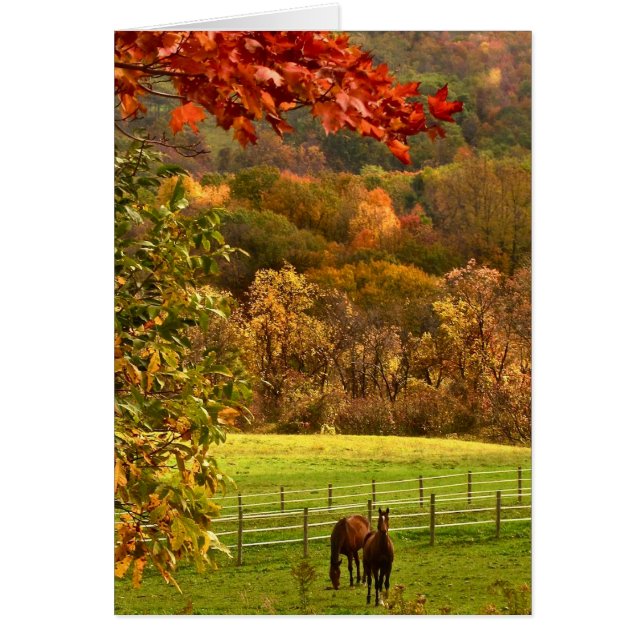 Caballos de otoño (Frente)