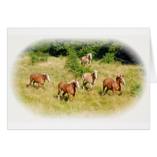 Caballos de proyecto en campo (Anverso (Horizontal))