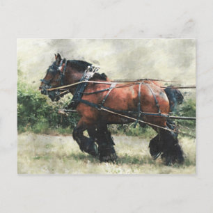 Caballos de tiro en la postal del mazo de cables