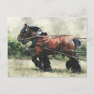 Caballos de tiro en la postal del mazo de cables