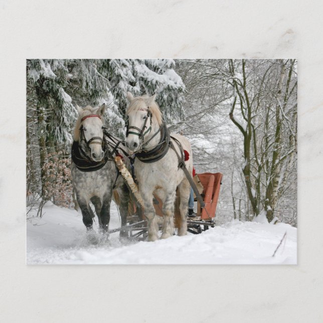 Caballos de tiro Navidad (Anverso)