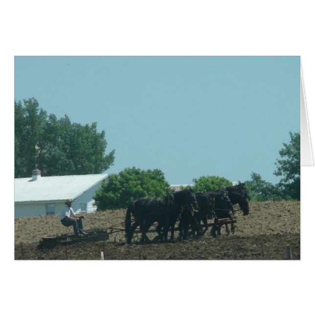 Caballos de trabajo (Anverso (Horizontal))