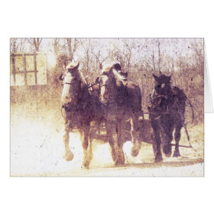 Caballos de trabajo Amish, falso cosquillo