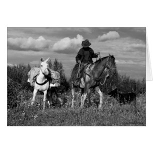 Caballos de vacas cariboo y regalos de mulas