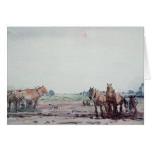 Caballos del arado