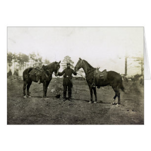 Caballos del coronel Sharpe