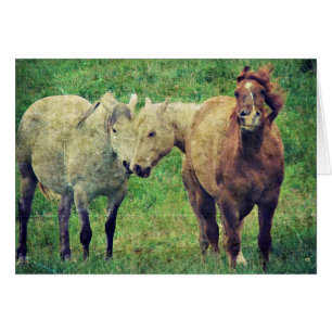 Caballos divertidos