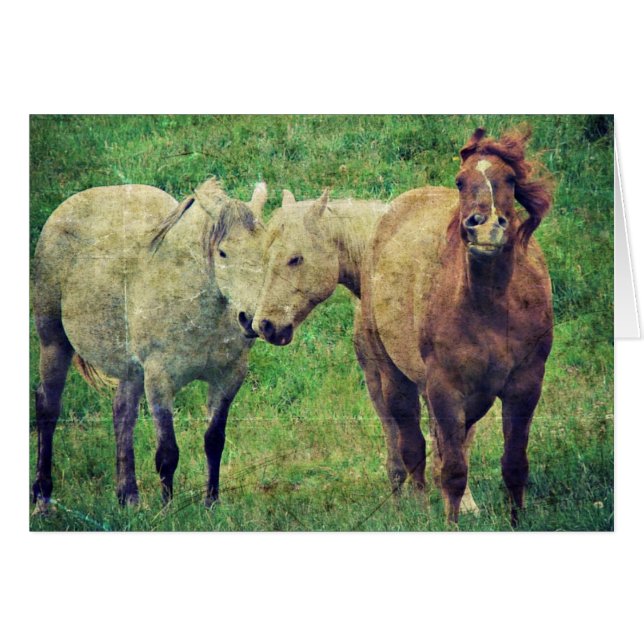 Caballos divertidos (Anverso (Horizontal))