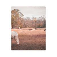 Caballos en armonía: Campo de arte de la pared de 