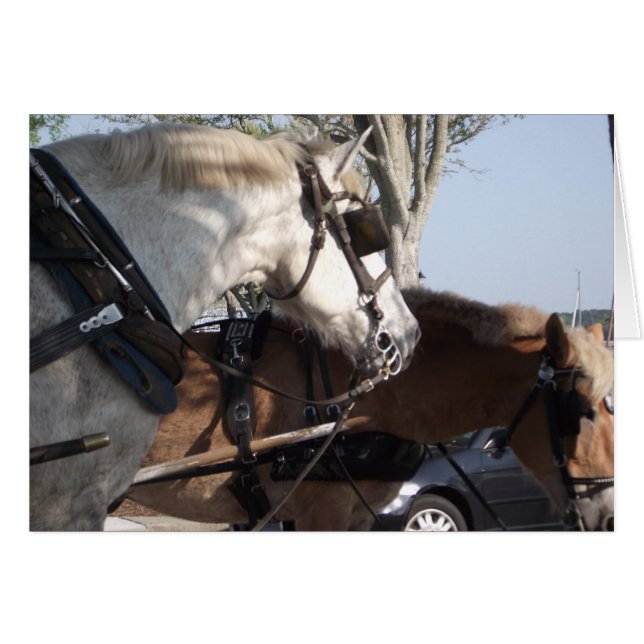 Caballos en arnés (Anverso (Horizontal))