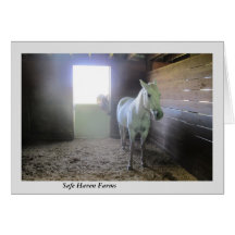 Caballos en descanso en las granjas del asilo