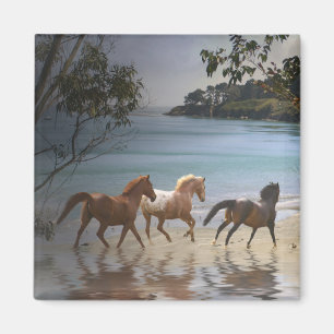 Caballos en el imán de la playa