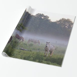 Caballos en el papel de embalaje del campo de la