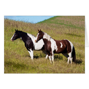Caballos en la ladera