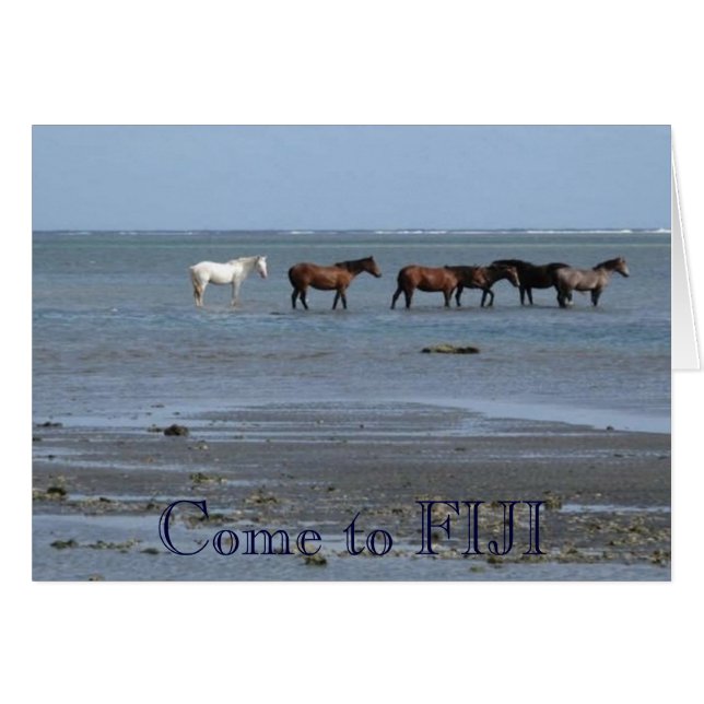 Caballos en la playa con tarjeta de Fiji (Anverso (Horizontal))