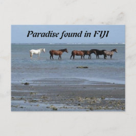 Caballos en la playa de la postal de Fiyi