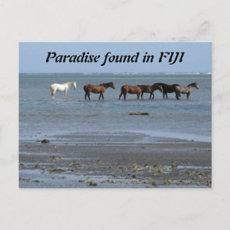 Caballos en la playa de la postal de Fiyi