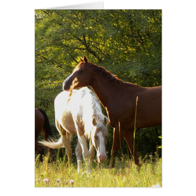 Caballos en la pradera (Frente)