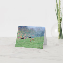Caballos en las tarjetas de notas de la montaña