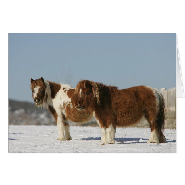 Caballos en miniatura de pie en la nieve (Anverso (Horizontal))