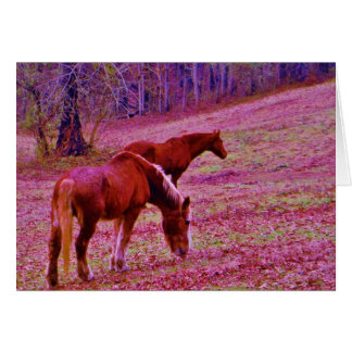 Caballos en un campo rosa púrpura lavanda,