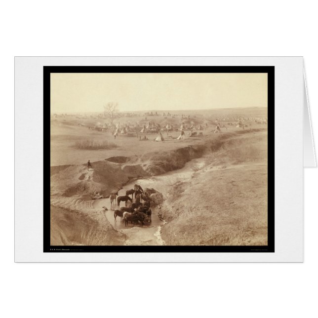 Caballos en White Clay Creek SD 1891 (Anverso (Horizontal))