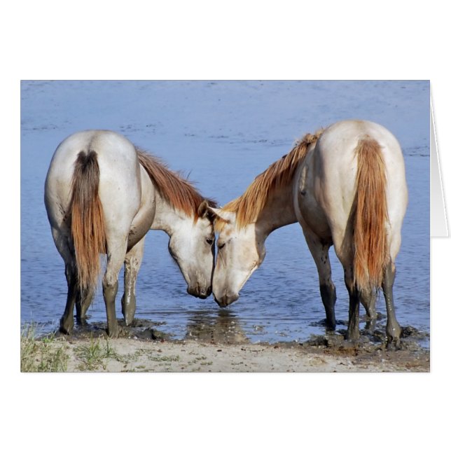 CABALLOS ENAMORADOS (Anverso (Horizontal))