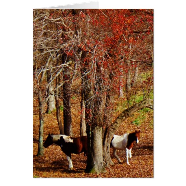 Caballos gemelos marrón y blanco (Frente)