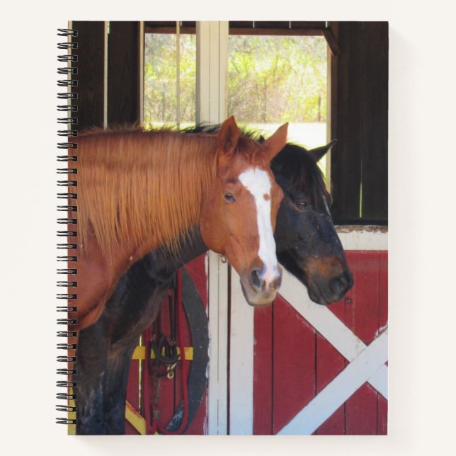 Caballos hermosos - Cuaderno espiral (Anverso)