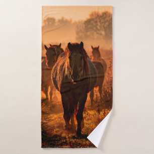 caballos konik salvajes que vinieron corriendo hac
