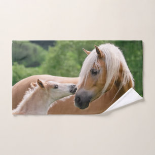 Caballos lindos potro de Haflinger y beso de