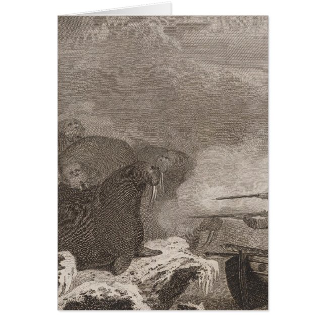 Caballos marinos (Frente)