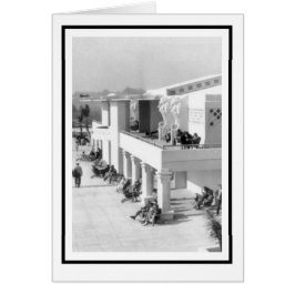 Caballos marinos en el Casino Sarasota Lido Beach