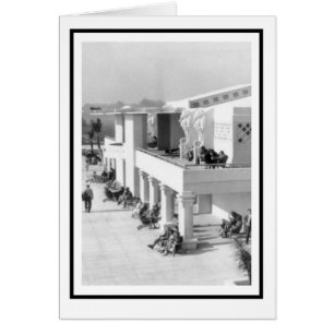 Caballos marinos en el Casino Sarasota Lido Beach