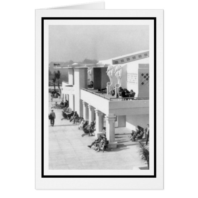 Caballos marinos en el Casino Sarasota Lido Beach (Frente)