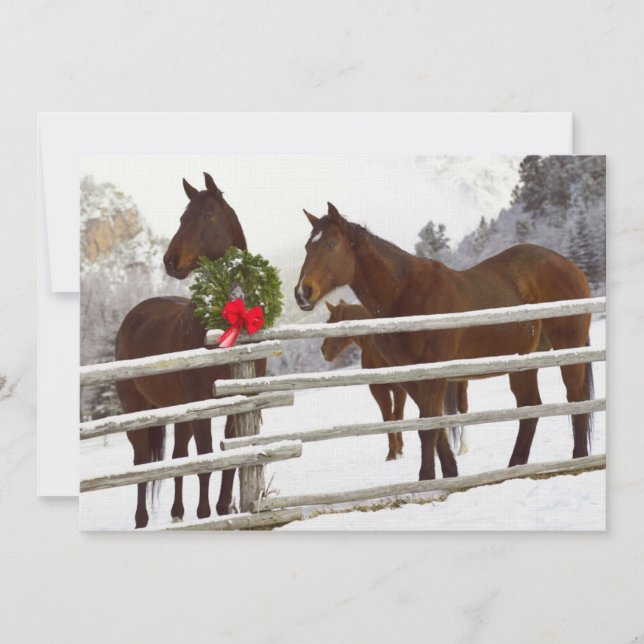 Caballos mirando la cerca en la nieve (Anverso)