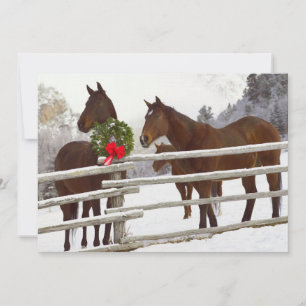 Caballos mirando la cerca en la nieve